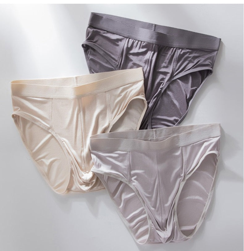 Men's 100% Silk Brief