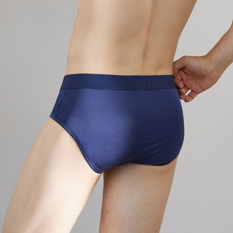 Men's 100% Silk Knit Brief