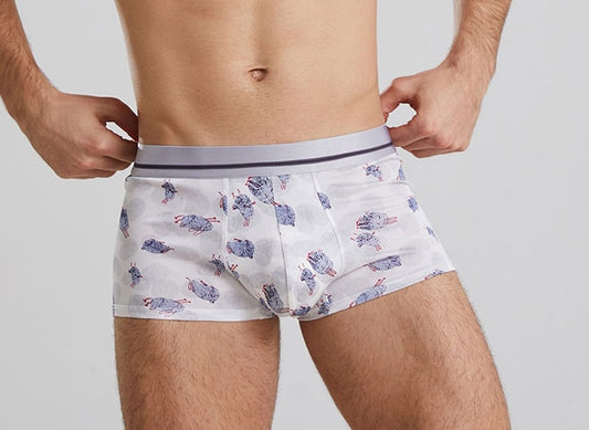 Herren-Boxershorts aus 100 % Seide, luxuriös bedruckte Seide