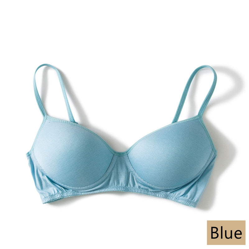 Damen-Dessous-BH aus Seide, 11 Farben