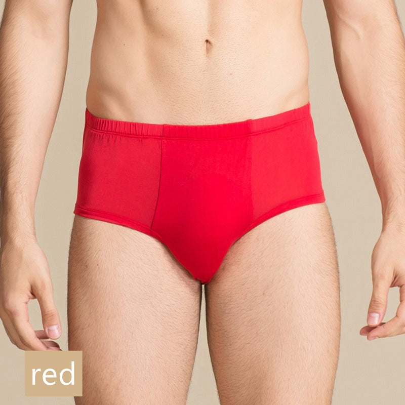 Slip en tricot 100 % soie pour hommes