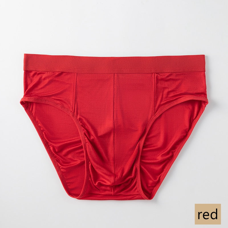 Men's 100% Silk Brief